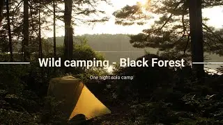 Wild camping in the Black Forest, One Night Solo Camp