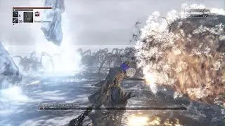 Bloodborne - VS Rom, the Vacuous Spider ( Challenge Run )