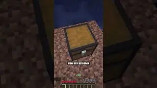 Zoey plays Skyblock for the first time!