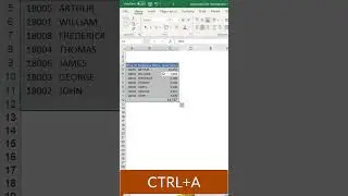 What is the Short Key for Thick Outside Border in Excel? #excel #excelformatting