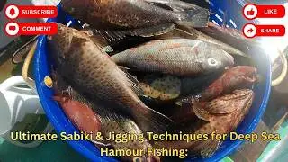 Ultimate Sabiki & Jigging Techniques for Deep Sea Hamour Fishing