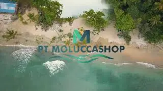 MoluccasHop Official Trailer | Bird Watching & Nature Adventure in Maluku, Indonesia
