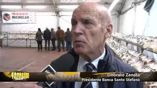 27^ Festa del Radicchio di Martellago (VE)