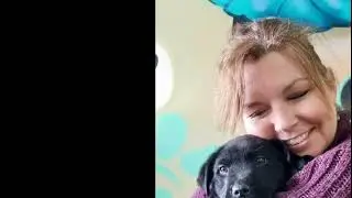 Pets help keep your brain sharp, study says