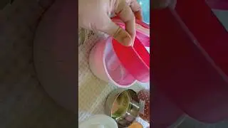 Food Carrier | Lunch Box | 550 Rs.. Plastic+ Steel Portion Lunch Box | @staybeautifulif