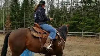 Badass Rodeo Company