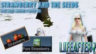 STRAWBERRY AND THE SEEDS