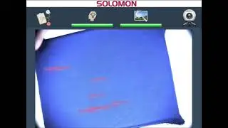 Fabric Blemish Inspection Using AI | SolVision