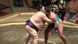 Jan 2021, Day 5: Daieisho, Meisei, Akiseyama battle for the lead + Hakuho recovers
