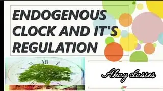 Endogenous clock and it's regulation | Circadian Clock || Plant Physiology || M.Sc. botany HPU