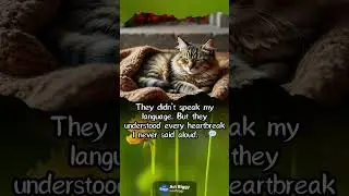 My Pet Understood My Silence 🐾 #shorts
