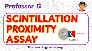 Scintillation proximity assay.  What it is, how it works and what it is used for.