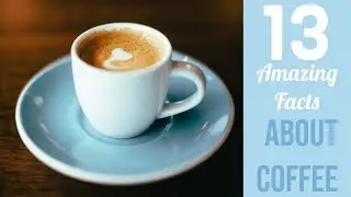 Coffee 13 Amazing Facts (2019)