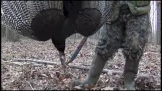 Virginia State Record Turkey Hunt 2016