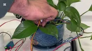 Automated Plant Care System