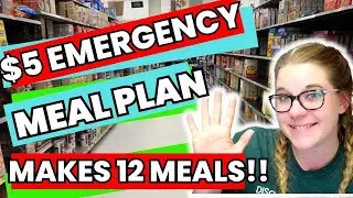 $5 Meal Plan | EXTREME EMERGENCY BUDGET CHALLENGE | Lunch & Dinner | Makes 12 Meals