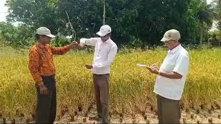 Ksapa India Regenerative Rice Production Project