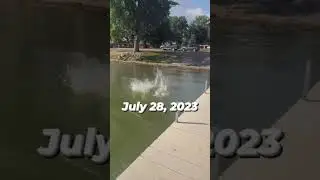 Yellow bass fishing Fairmont, MN