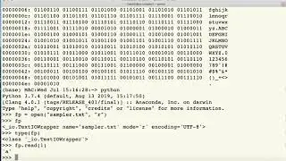 Reading a file in Python