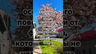 Харизматические типы поведения #facts #psychology #psychologyfacts #charisma #shorts