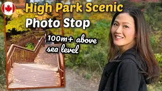 Scenic High Park spot for photo taking in the fall! 🍁📸