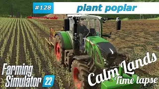 Farming Simulator 22 🚜 Calm Lands 🌲 plant poplar, remove stones, plant trees 🐝 128 - 4K timeLapse