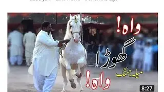 ghoda Nach
