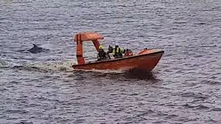 What's Happening in Aberdeen Harbour Traffic 12th September 2025