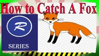 How to Catch A Fox Best Fox Trap Fox Trapping