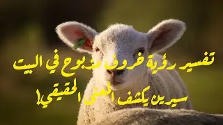 تفسير رؤية خروف مذبوح في البيت، سيرين يكشف المعنى الحقيقي!