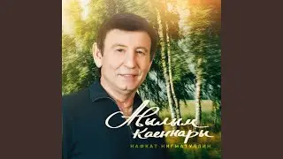 Авылым каеннары