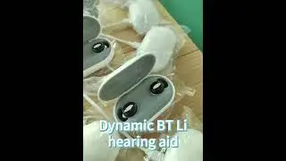 hearing aid Dynamic BT Li