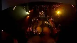 Andromeda - Chameleon Carnival