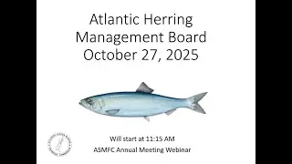 Atlantic Herring Board Proceedings October2025