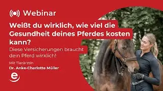 ehorses Webinar: Kostenfalle Kolik & Co. - So sicherst du dich ab!