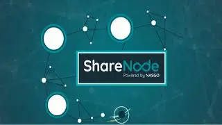 How the ShareNode  Program Works
