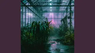 Lost melody