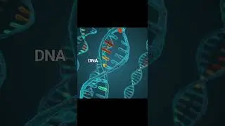 🧬 5 Incredible Facts About Human DNA! Prepare to Be Amazed! 🌟