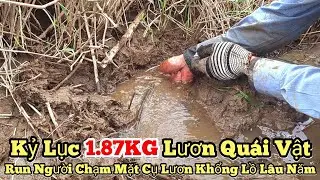 Kỷ lục câu lươn khổng lồ..1.87KG lươn quái vật_Run người cụ lươn lâu năm_tập1025//Giant eel fishing