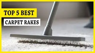 5 Best Carpet Rakes 2025 Under $20 || You Can Buy