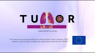 Tumor-LN-oC - Tumor and Lymph Node on Chip for cancer studies