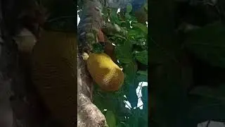 10 de janeiro de 2026