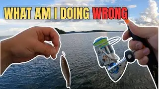 🎣 2 Days, No Fish | Live Bait Didn&rsquo;t Even Work | Chickamauga Lake Fishing Trip