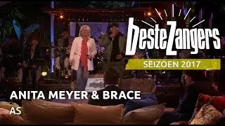 Anita Meyer & Brace - As | Beste Zangers