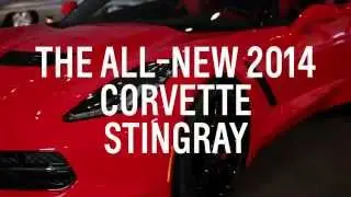 2014 Corvette Stingray Walkaround - Kerbeck Corvette