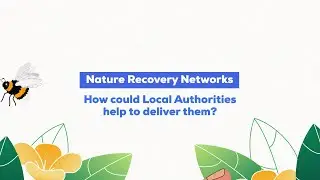 Local Authorities & Nature Recovery Networks in Northern Ireland