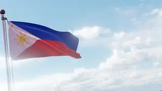 Philippine Flag #2