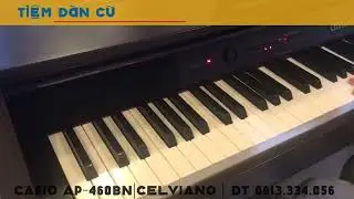 Casio AP-460 | Celviano | tiemdancu.com