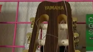 YAMAHA AEX500N　SBB・シースルーバースト