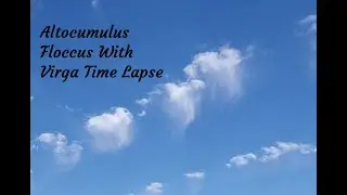 Rare Altocumulus Floccus Clouds With Virga Time Lapse